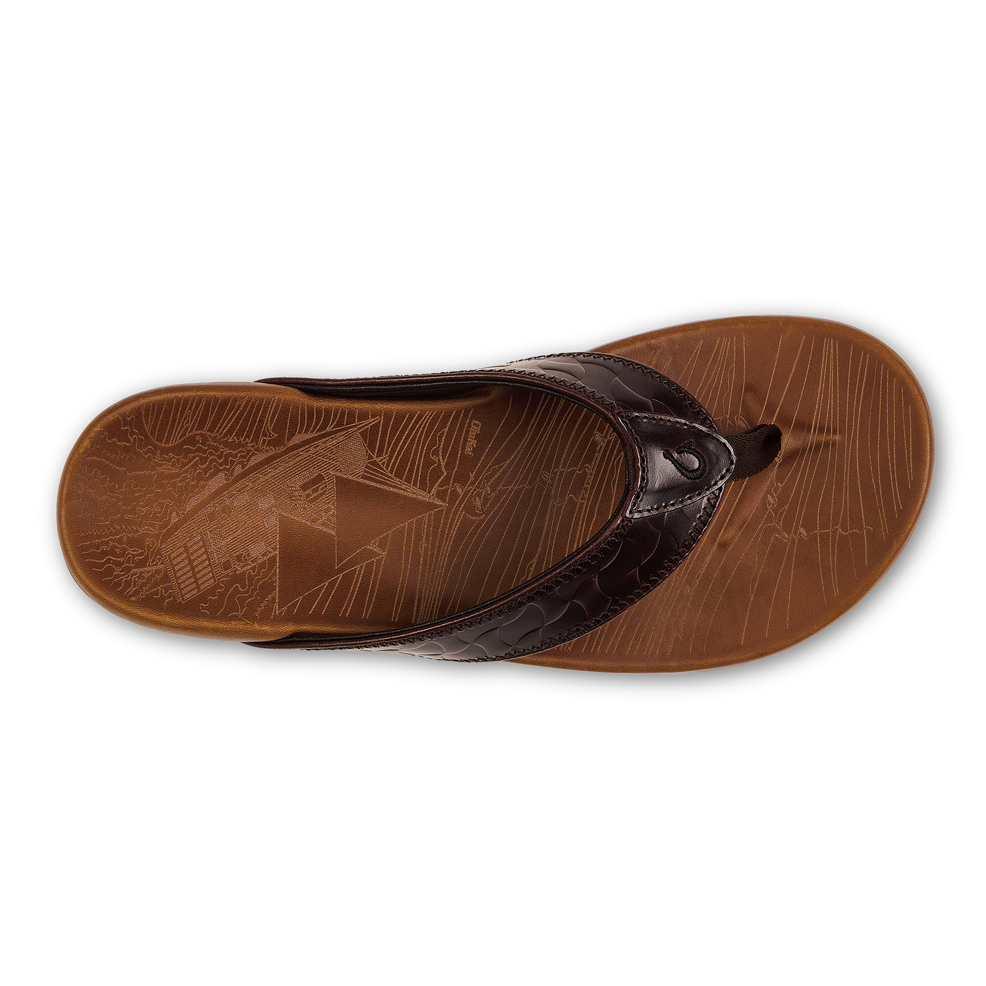 Hikianalia  -  Dark Java / Tan