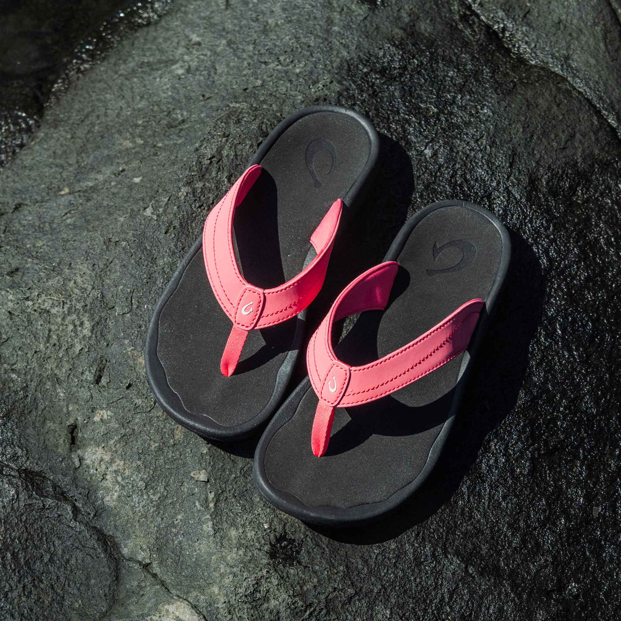 Ohana -  Hot Pink / Black