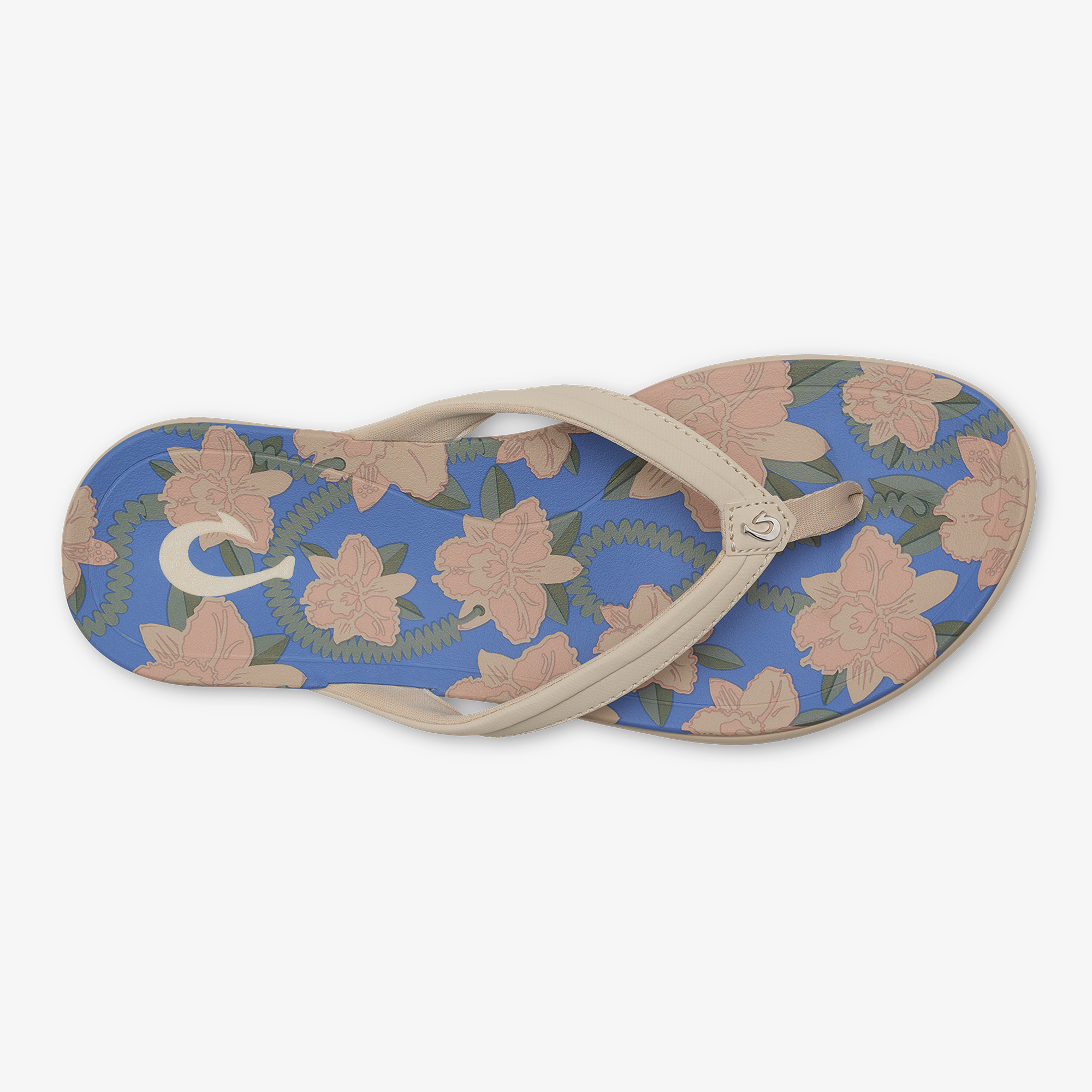 Hoopio Malua  -  Tapa / Marine Blue